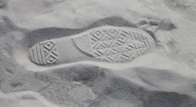 sand, footprint, footstep, footprints, beach, print, footsteps, nature, shoe, relief, soil, track, evidence, evidence, evidence, evidence, evidence, evidence. Escalating an order problem with a clear evidence record