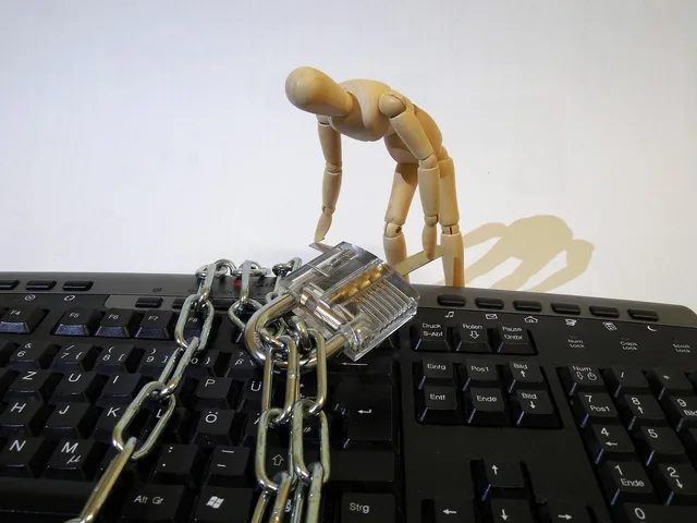 stature, pc, access, locked, data, figure, doll, burglary, theft, criminal, hacker. Reviewing app permissions to customer data